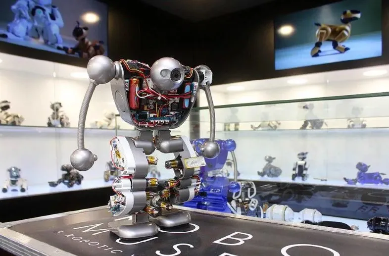 Robot