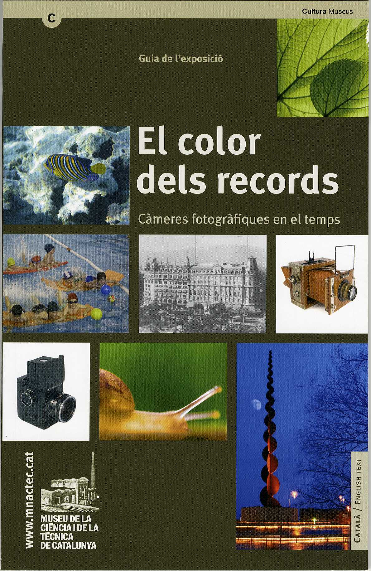 El color dels records